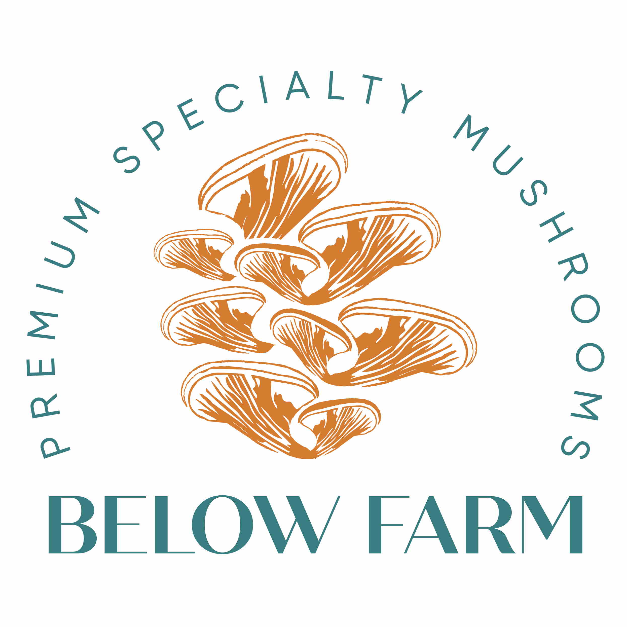 Below Farm Cover Image
