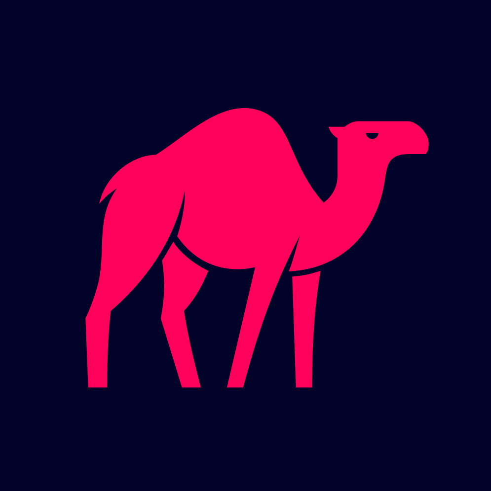 Pink Camel Recruitment  Cover Image