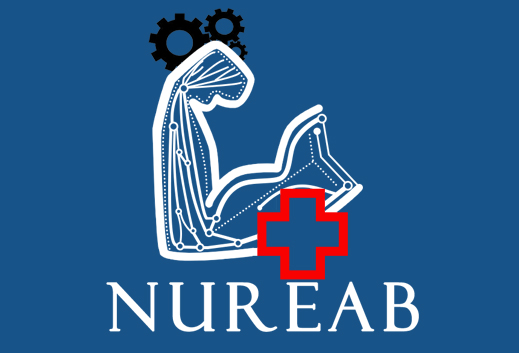 Nuraeb Cover Image