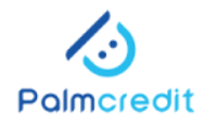 Palmcredit Cover Image