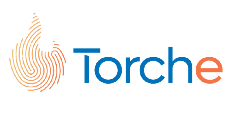 Torche Cover Image
